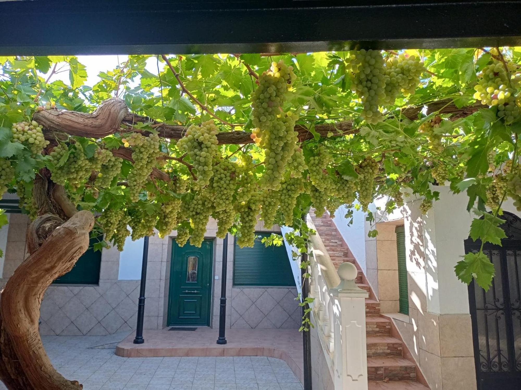 Casa Rural La Del Alba Seria Argamasilla De Alba Exterior photo